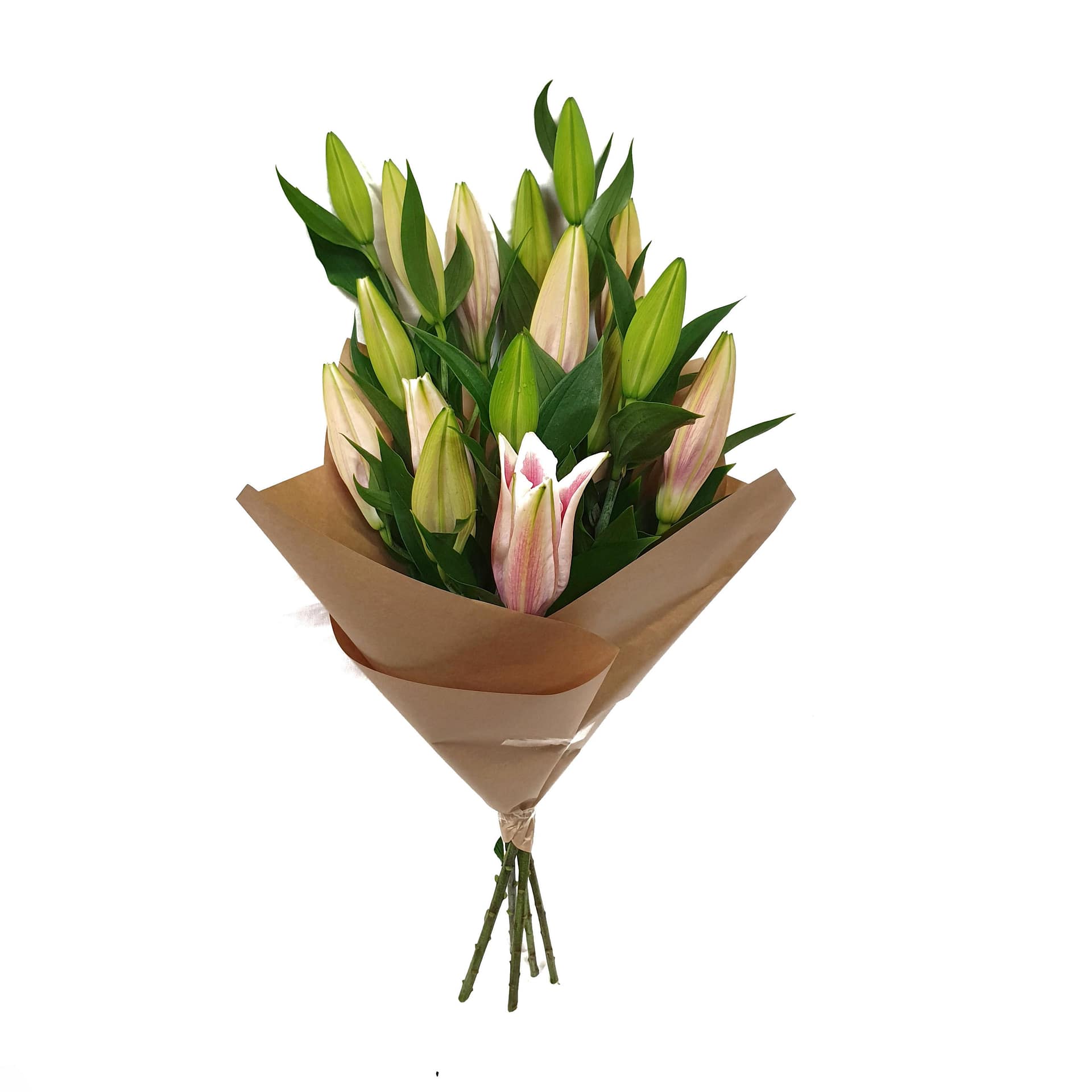 Lily Wrap