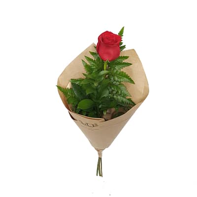 Single Red Rose