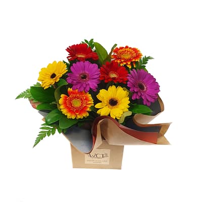 Gerbera Box