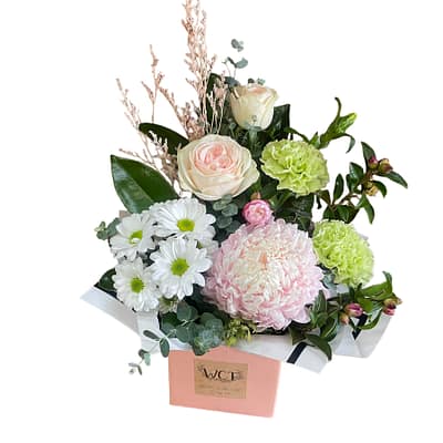 Pastel Box