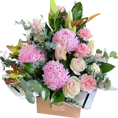 Pastel Large Box